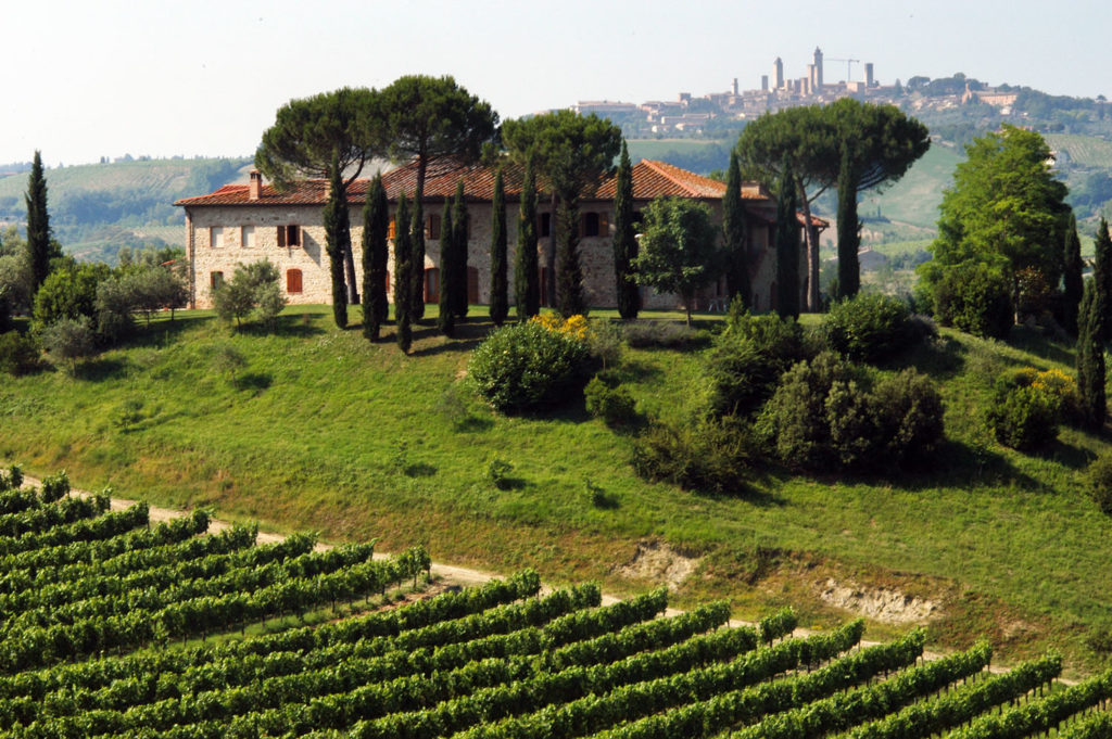 Italien Toskana Weingut